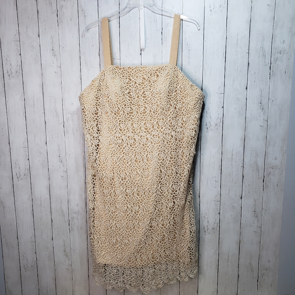 Lan Ting Bride Beige Lace Knee Length Dress Padded Bra Cups Size 20. Like new!